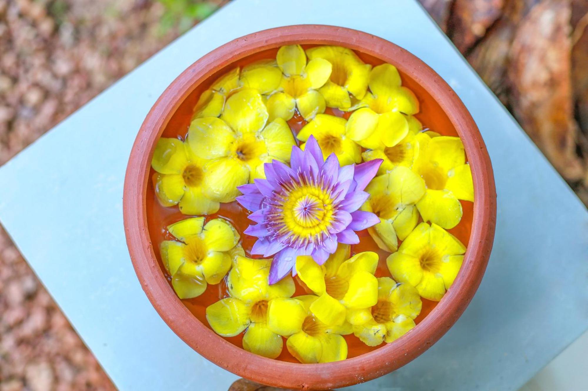 Rockery Villa Ayurveda Бентота Екстериор снимка