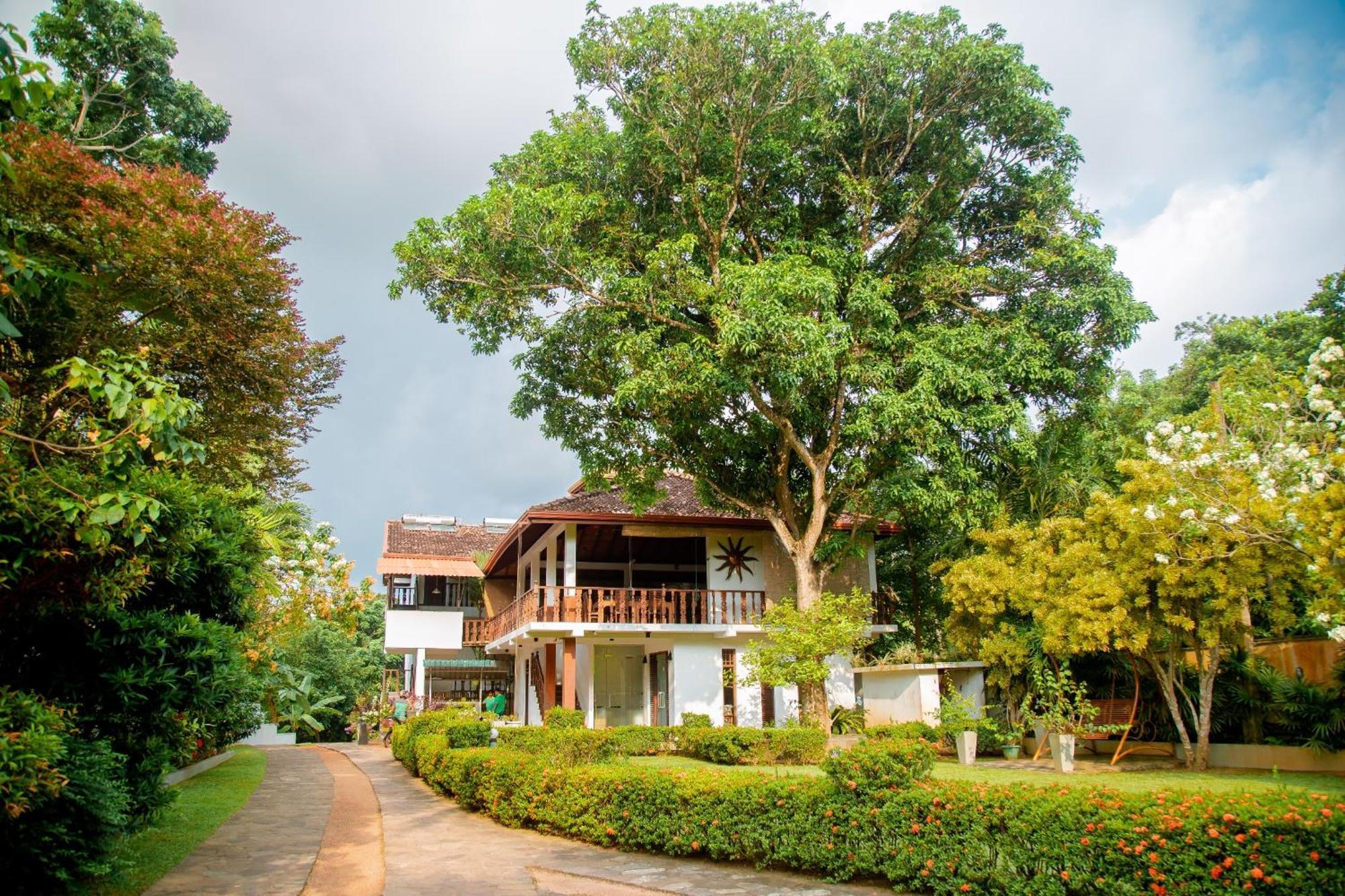 Rockery Villa Ayurveda Бентота Екстериор снимка