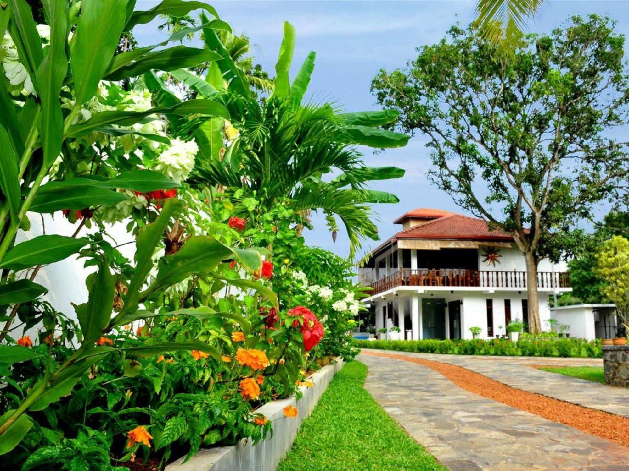 Rockery Villa Ayurveda Бентота Екстериор снимка